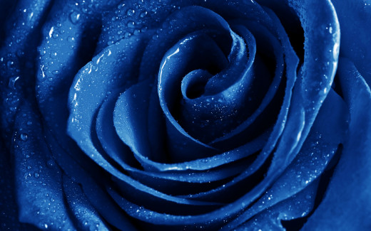 1015629 (a): :2880x1800